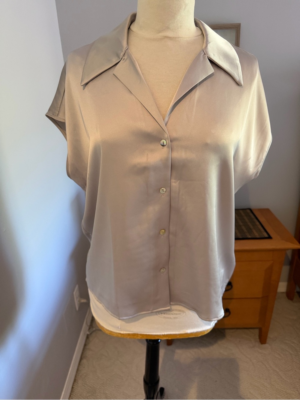 Rachel Zoe Silky Taupe Short-Sleeve Button-Down Blouse